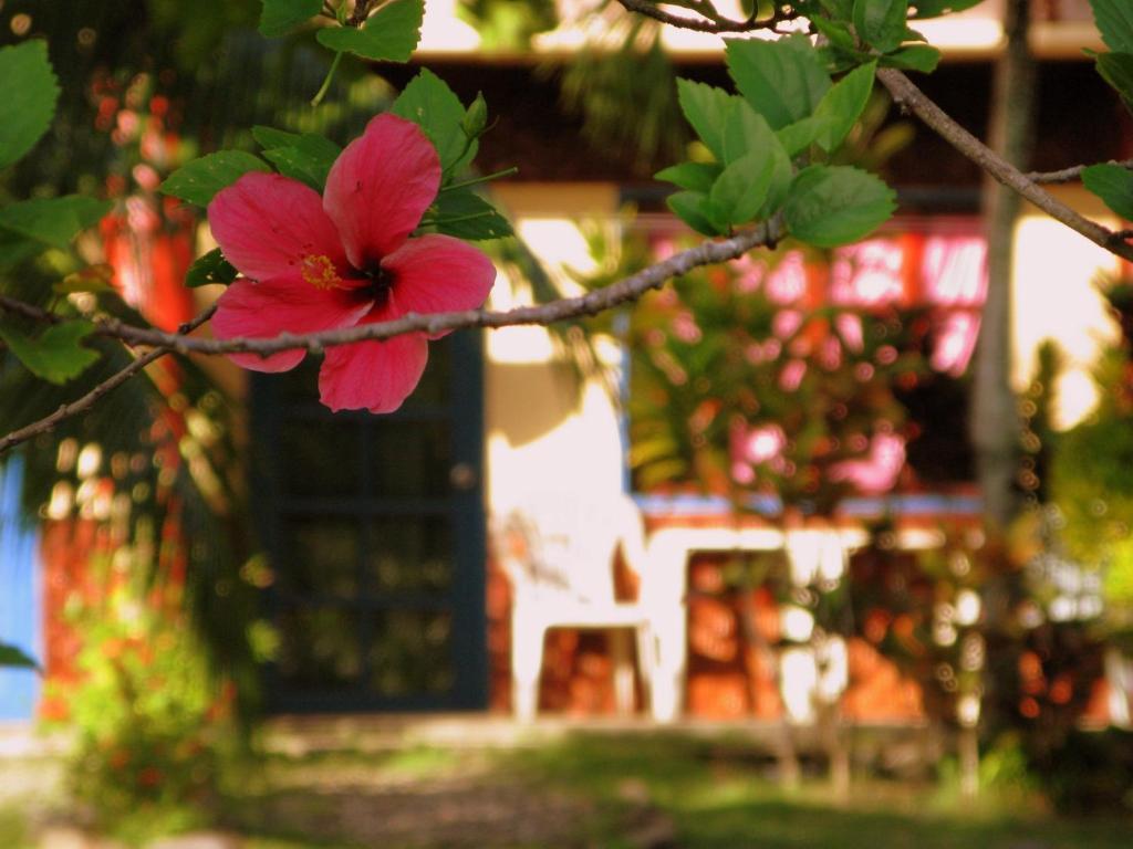 Kalipayan Beach Resort & Atlantis Dive Center Panglao Exterior foto